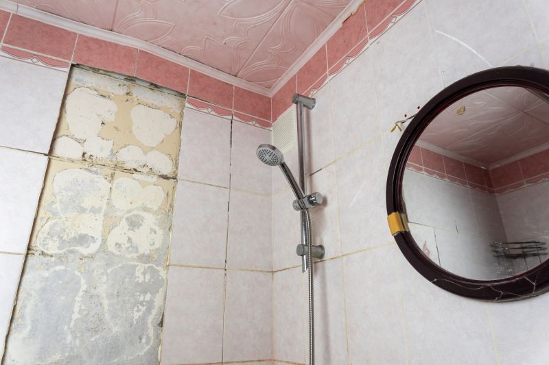 Top Shower Remodeling Companies in Davidsonville, MD